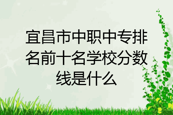 宜昌市中职中专排名前十名学校分数线是什么