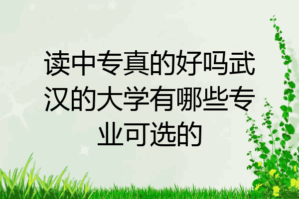 读中专真的好吗武汉的大学有哪些专业可选的