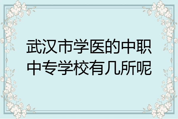 武汉市学医的中职中专学校有几所呢