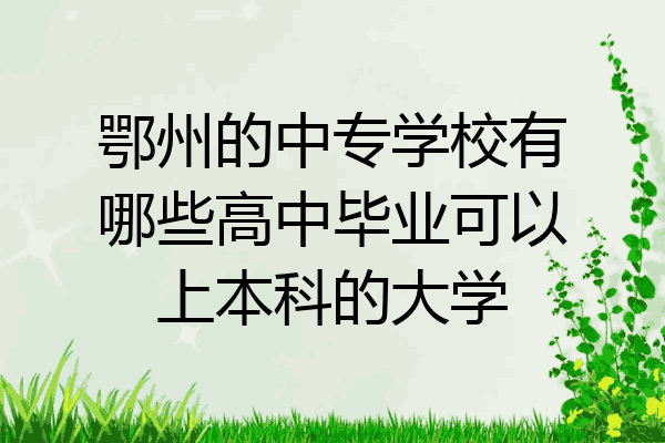 鄂州的中专学校有哪些高中毕业可以上本科的大学