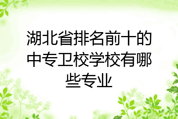 湖北省排名前十的中专卫校学校有哪些专业