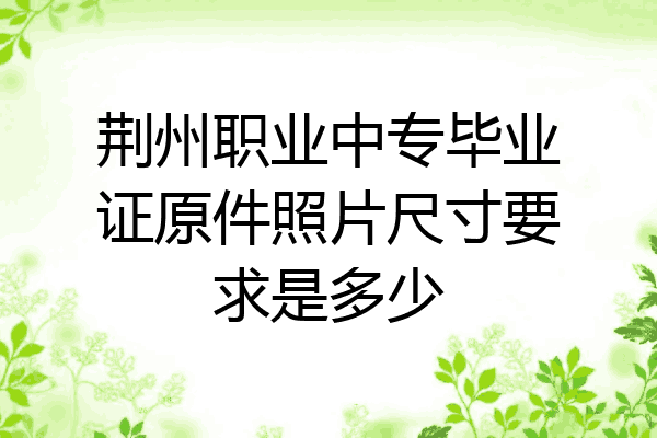 荆州职业中专毕业证原件照片尺寸要求是多少
