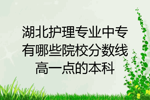 湖北护理专业中专有哪些院校分数线高一点的本科
