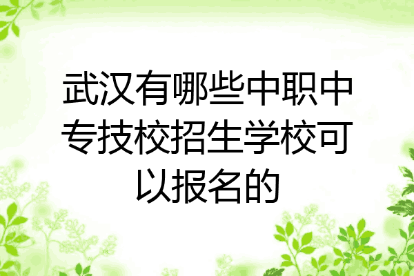 武汉有哪些中职中专技校招生学校可以报名的