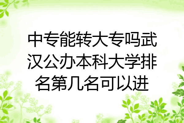 中专能转大专吗武汉公办本科大学排名第几名可以进