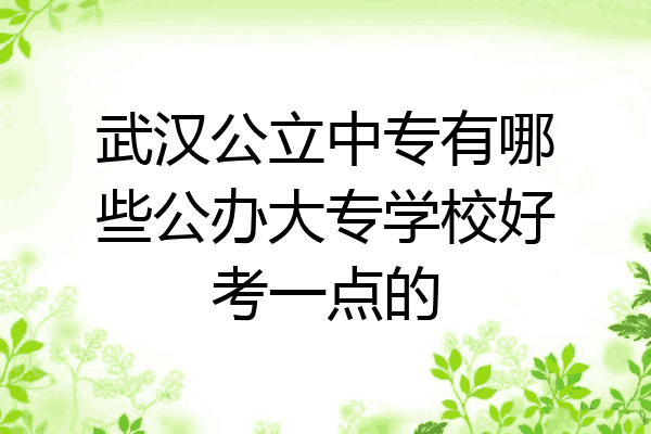 武汉公立中专有哪些公办大专学校好考一点的