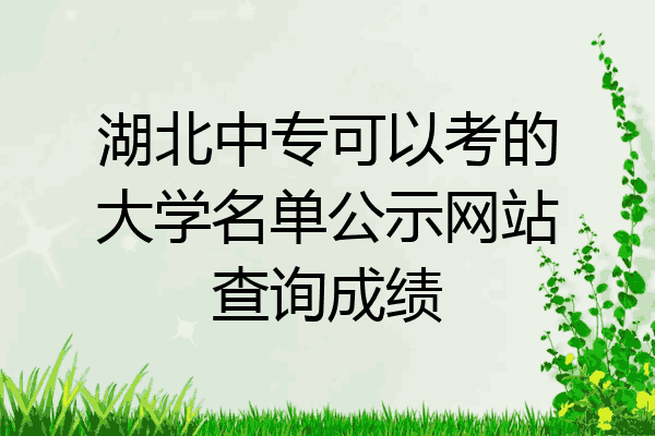 湖北中专可以考的大学名单公示网站查询成绩