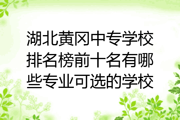 湖北黄冈中专学校排名榜前十名有哪些专业可选的学校