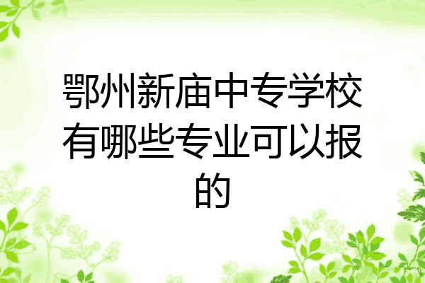 鄂州新庙中专学校有哪些专业可以报的