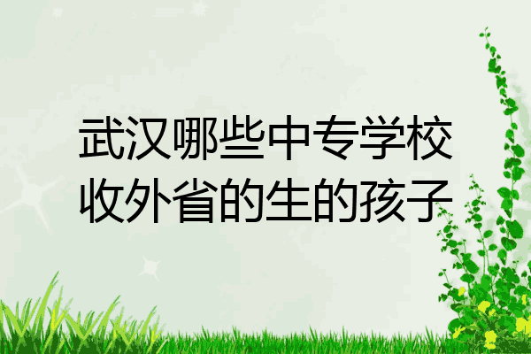 武汉哪些中专学校收外省的生的孩子