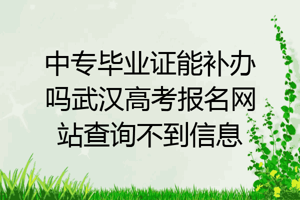 中专毕业证能补办吗武汉高考报名网站查询不到信息