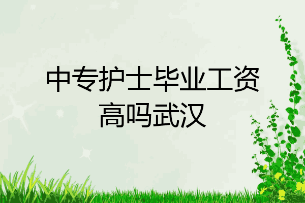 中专护士毕业工资高吗武汉