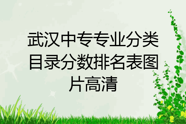 武汉中专专业分类目录分数排名表图片高清