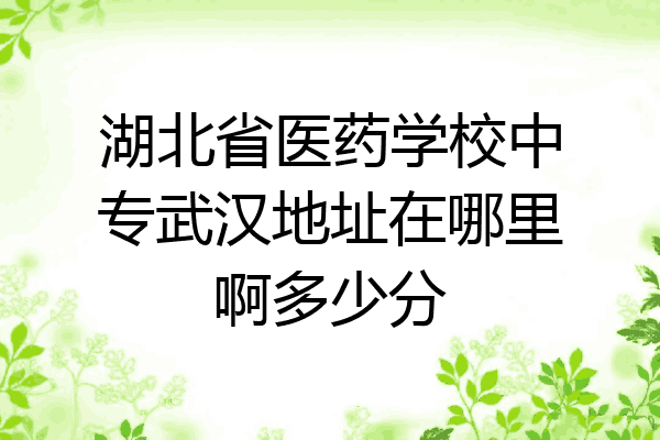 湖北省医药学校中专武汉地址在哪里啊多少分