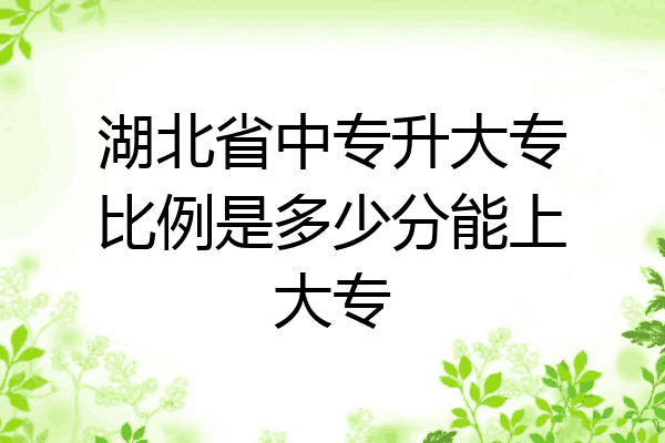 湖北省中专升大专比例是多少分能上大专
