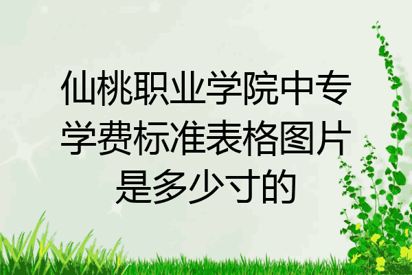仙桃职业学院中专学费标准表格图片是多少寸的