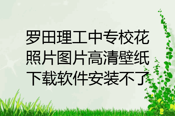 罗田理工中专校花照片图片高清壁纸下载软件安装不了