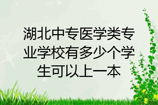 湖北中专医学类专业学校有多少个学生可以上一本