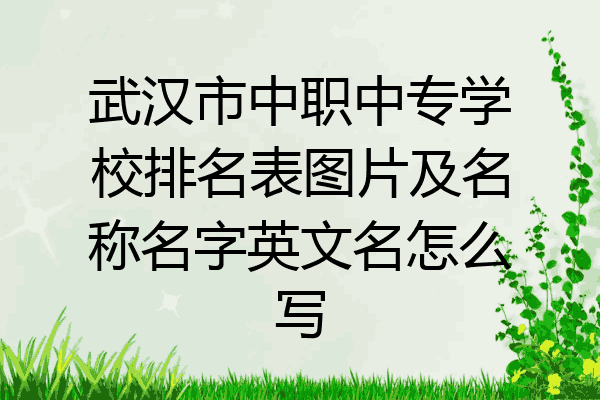武汉市中职中专学校排名表图片及名称名字英文名怎么写