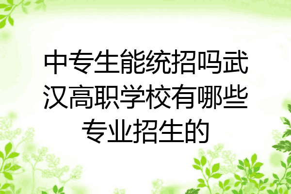 中专生能统招吗武汉高职学校有哪些专业招生的