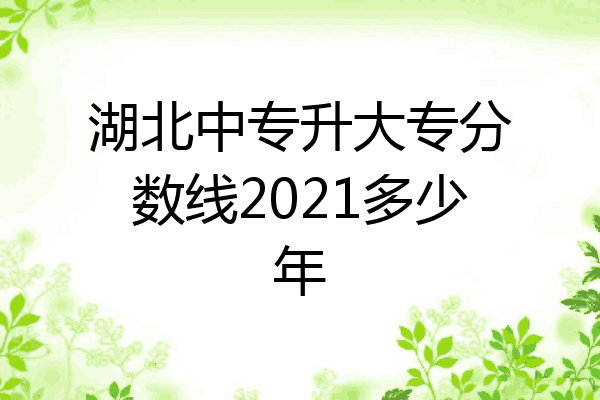 湖北中专升大专分数线2021多少年
