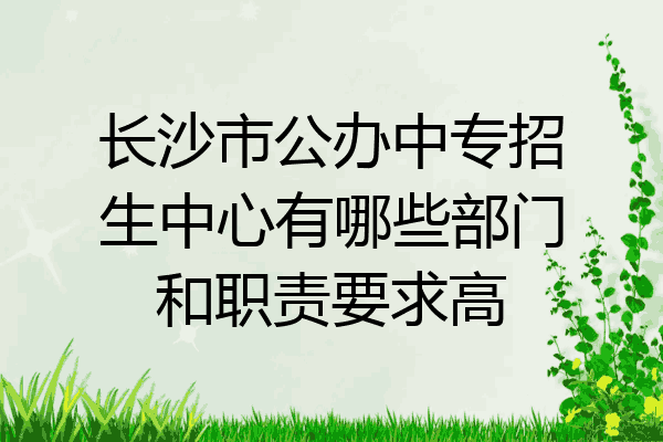 长沙市公办中专招生中心有哪些部门和职责要求高