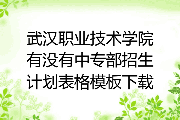 武汉职业技术学院有没有中专部招生计划表格模板下载