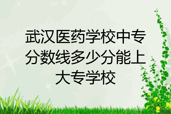 武汉医药学校中专分数线多少分能上大专学校