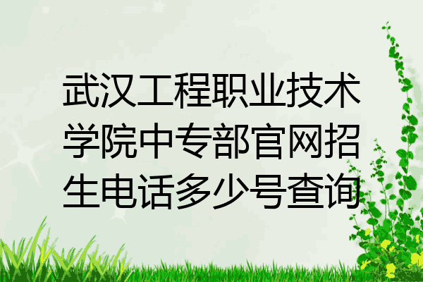 武汉工程职业技术学院中专部官网招生电话多少号查询