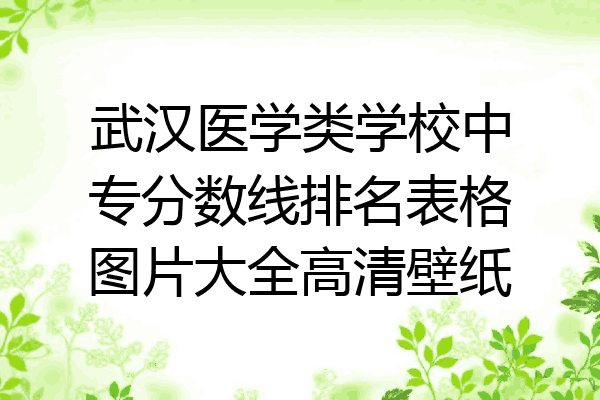 武汉医学类学校中专分数线排名表格图片大全高清壁纸