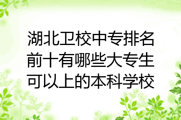湖北卫校中专排名前十有哪些大专生可以上的本科学校