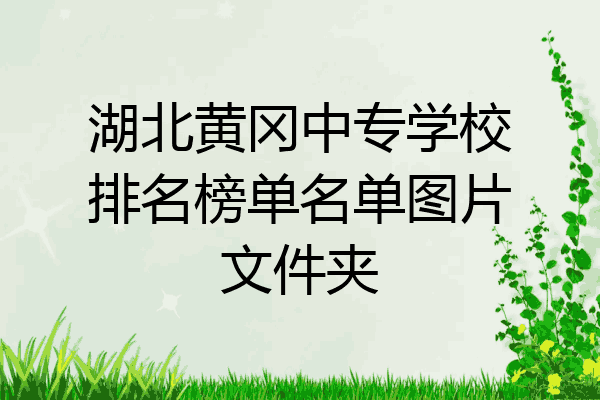 湖北黄冈中专学校排名榜单名单图片文件夹