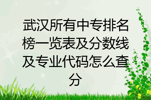 武汉所有中专排名榜一览表及分数线及专业代码怎么查分