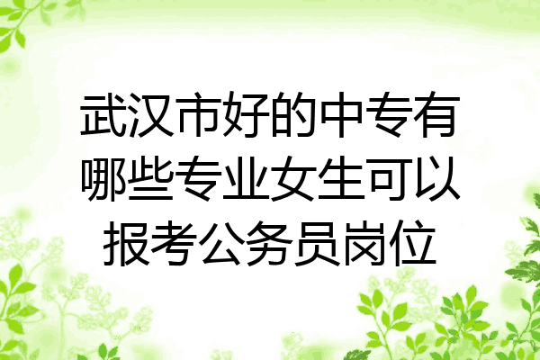 武汉市好的中专有哪些专业女生可以报考公务员岗位