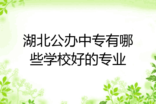 湖北公办中专有哪些学校好的专业