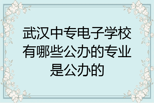 武汉中专电子学校有哪些公办的专业是公办的