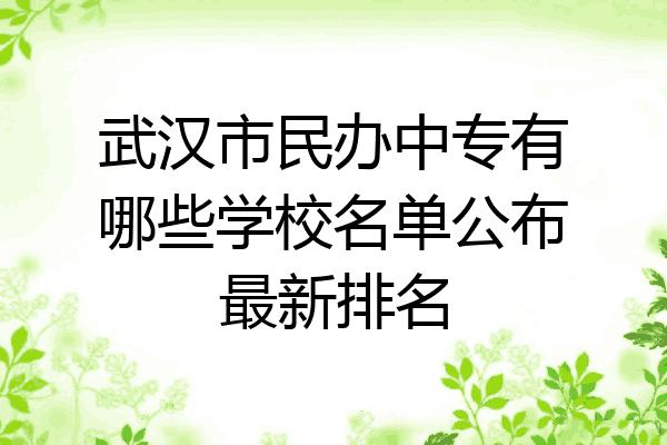 武汉市民办中专有哪些学校名单公布最新排名