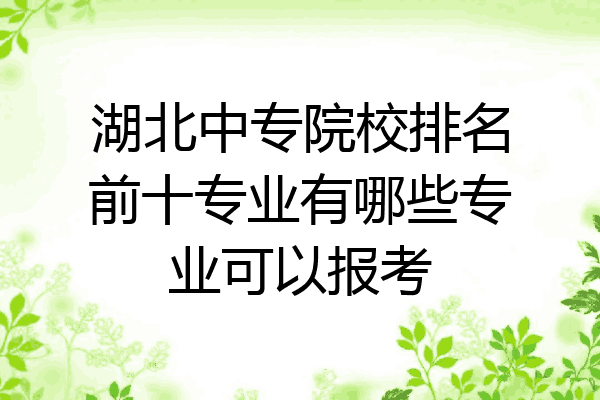 湖北中专院校排名前十专业有哪些专业可以报考