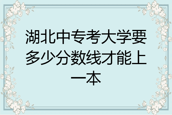湖北中专考大学要多少分数线才能上一本