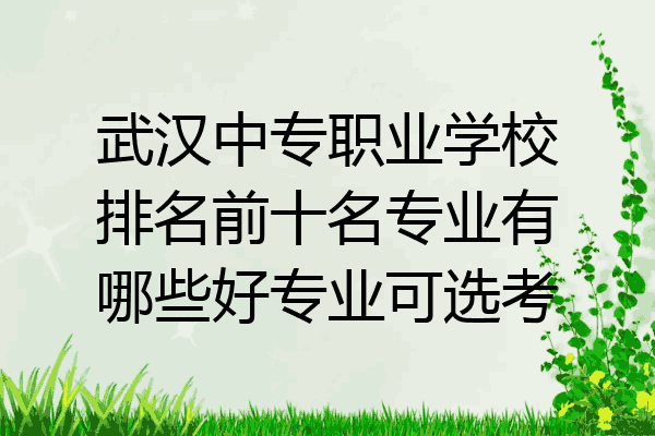 武汉中专职业学校排名前十名专业有哪些好专业可选考