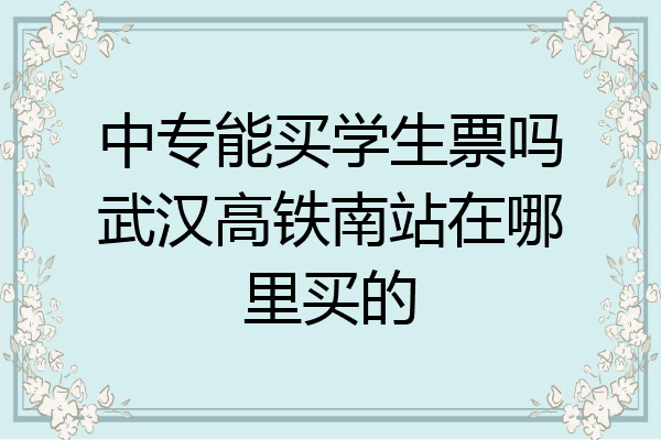 中专能买学生票吗武汉高铁南站在哪里买的