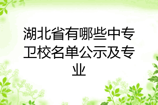 湖北省有哪些中专卫校名单公示及专业