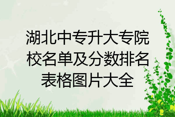 湖北中专升大专院校名单及分数排名表格图片大全