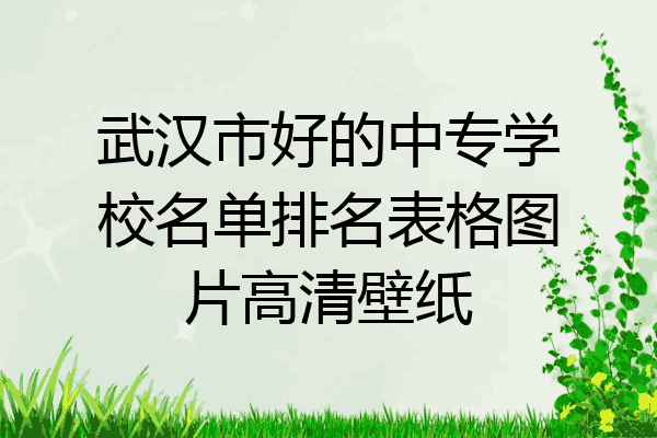 武汉市好的中专学校名单排名表格图片高清壁纸