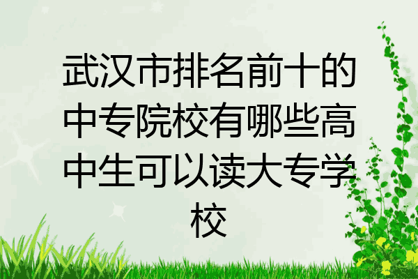 武汉市排名前十的中专院校有哪些高中生可以读大专学校