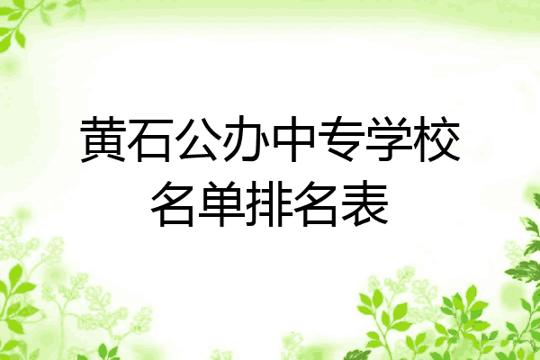 黄石公办中专学校名单排名表