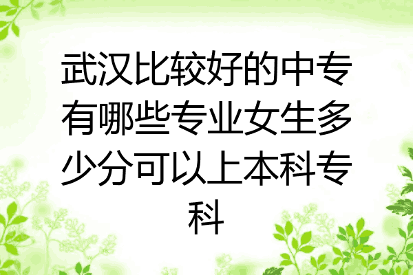 武汉比较好的中专有哪些专业女生多少分可以上本科专科
