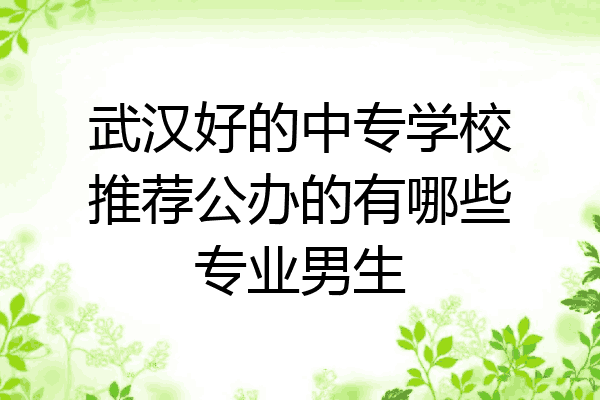 武汉好的中专学校推荐公办的有哪些专业男生