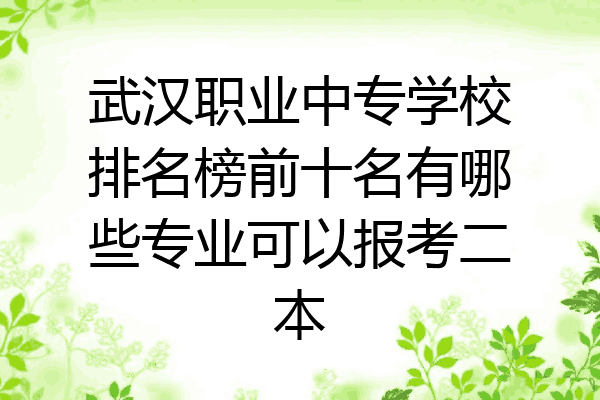 武汉职业中专学校排名榜前十名有哪些专业可以报考二本