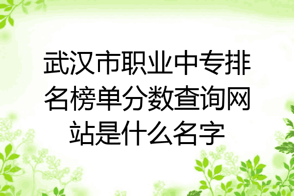 武汉市职业中专排名榜单分数查询网站是什么名字